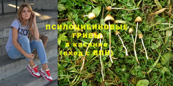 соль курить ск Алексеевка