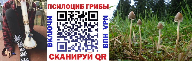 Псилоцибиновые грибы ЛСД  Коркино 
