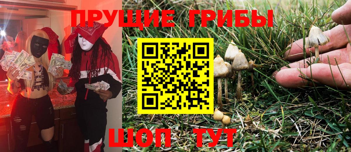 Галлюциногенные грибы MAGIC MUSHROOMS  Галлюциногенные грибы MAGIC MUSHROOMS  Вход с VPN  Коркино 
